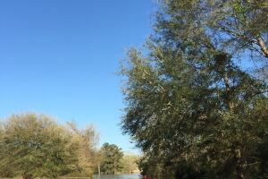 Deweyville, Texas se encuentra bajo el agua