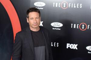 David Duchovny 