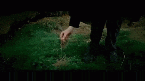 n5xe77.gif