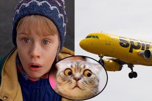 Aerolínea manda por error a un niño de 6 años en otro vuelo, como ocurrió en 'Mi Pobre Angelito 2'