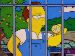 Lemon troy