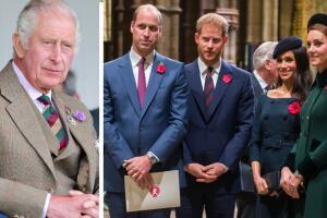 El Rey Carlos da nuevo título a William, así como su "amor" a Harry y Meghan Markle