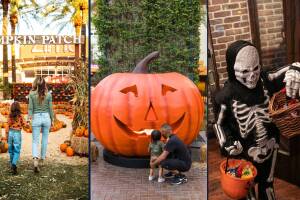 Otoño 2021 en Arizona: Actividades gratis para disfrutar con la familia