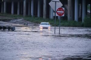 WhatsApp Image 2023-04-21 at 07.07.03.jpeg