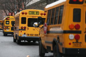 Buses escolares