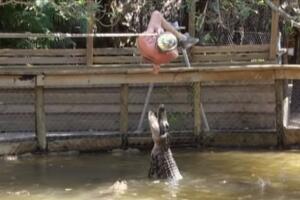 Jackass The Movie Alligator Tightrope.jpg