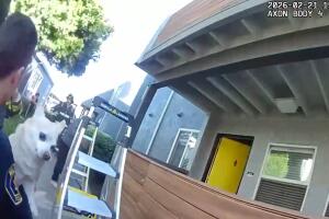 Rescate incendio perro