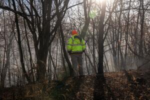 incendios calidad de aire Nueva York Nueva Jersey advertencia