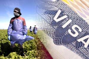 Requisitos para obtener las visas de trabajo H-2A y H2B en Arizona