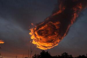 La Mano de Dios - Portugal