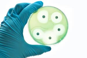 bacteria_antibioticos.jpg