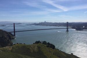 hawk hill.png