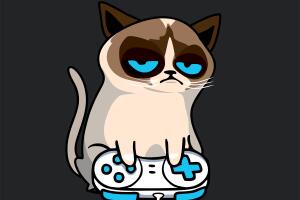 ¿O tal vez videojuegos?