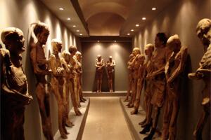 Museu das Múmias