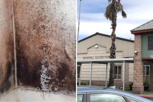 moho aspergillus penicillium escuela Hemphill suspende clases Kyle Texas