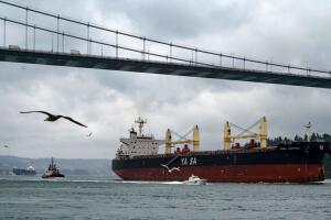 TURKEY-UKRAINE-TRANSPORT-CONFLICT