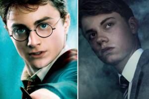 Le Maitre de la Mort es la película de la franquicia de Harry Potter hecha por fans