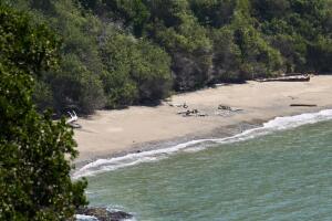 Playa de California