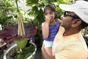 Foul Floral Fragrance