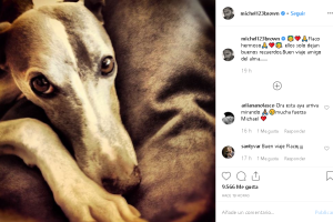 Michel Brown y su perro Flaco