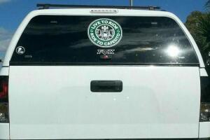 Cosas insólitas que solo se ven en Florida