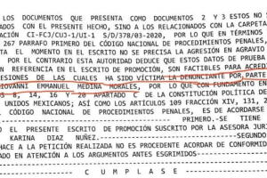 docu ninel3.jpg