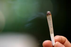 marihuana.jpg