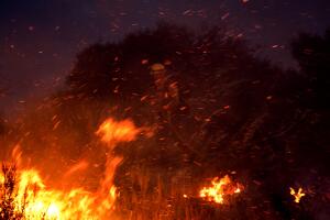 California Wildfires