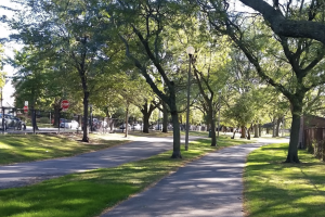 West Rogers Park.png