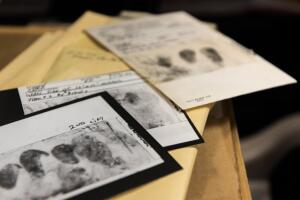 Asesino del Estado Dorado