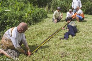 Everglades Python/Python 2-8.jpg