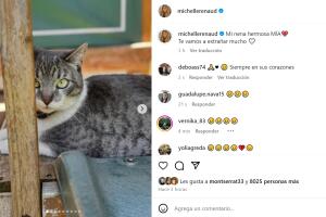 Michelle Renaud está de luto y así se despide
