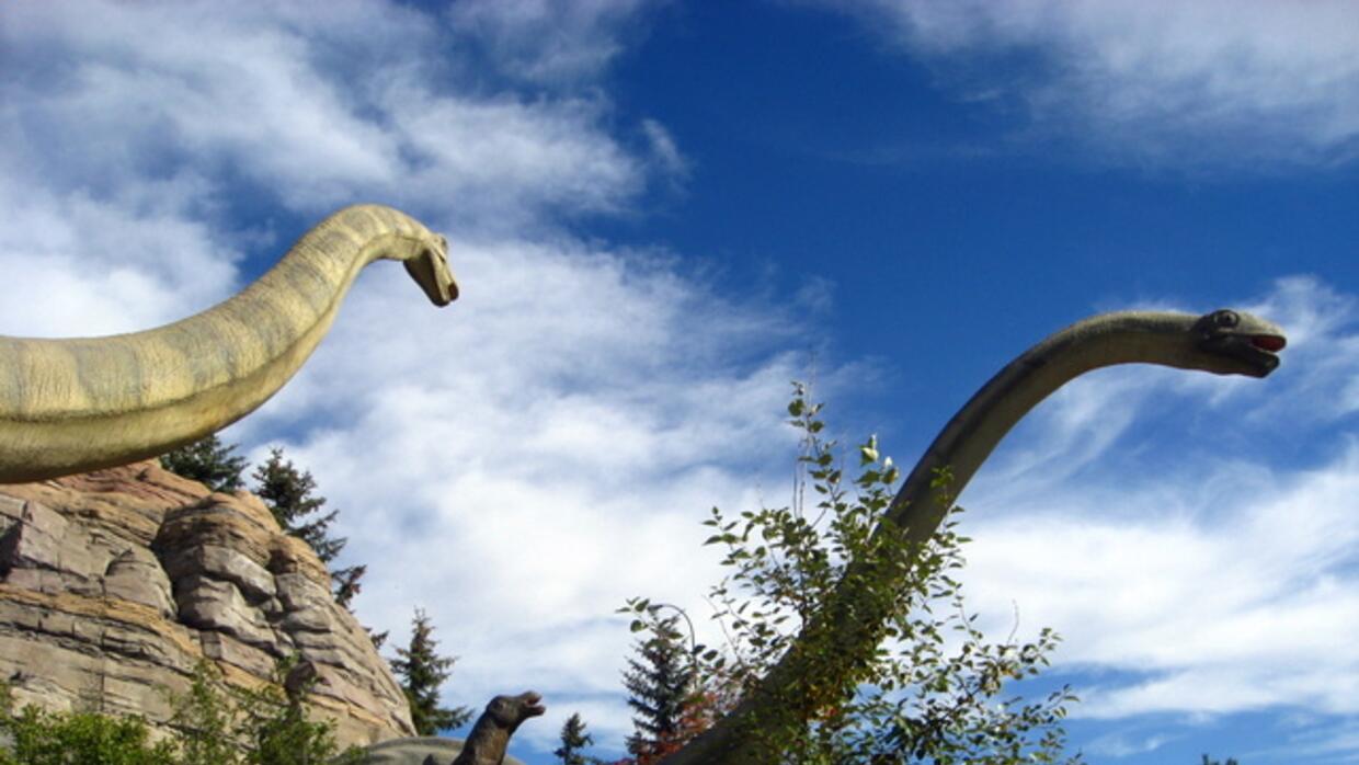 A Cuanto Se Rompe La Barrera Del Sonido 7 cosas fascinantes pero espeluznantes sobre los dinosaurios que tienes que  conocer | Explora | Univision