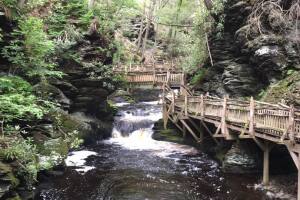 Bushkill falls .jpg