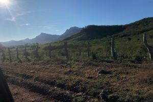 SLIDESHOW LABORATORIO/8 caminos.png