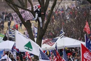Trump Supporters Hold "Stop The Steal" Rally In DC Amid Ratification Of Presidential Election
