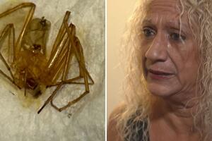 El complejo de apartamentos negó responsabilidad y busca que la demanda sea desestimada.