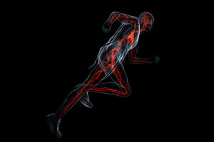 droga-imita-exercicio-2.jpg