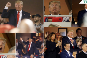 Collage Trump usa.png