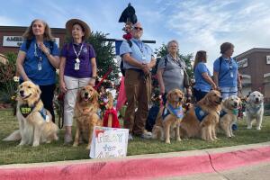 perros-apoyo-emocional-