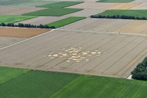 crop circles
