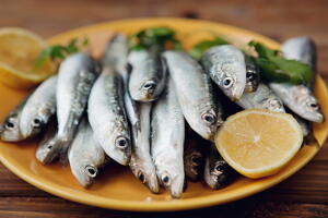 sardinhas_0.jpg