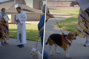 bendición de mascotas en Dallas