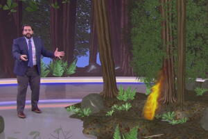 2-incendiosalbert.jpg