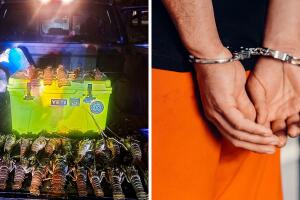 Dos hombres arrestados por pesca ilegal de langostas en los Cayos de Florida.