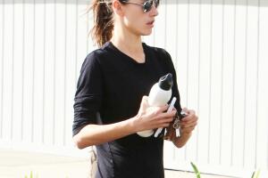 Alessandra Ambrosio  Los Angeles, November 09, 2017. 