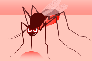 mosquito-pernilongo-picada-1117-1400x800.png