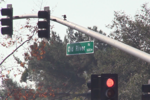 Screen Shot 2019-11-25 at 12.27.48 PM.png