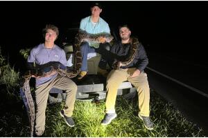 La noche del miércoles los tres amigos salieron a cazar pitones.