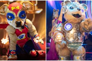 Primer duelo entre Perrito Peligroso y Robotso en la semifinal de ¿Quién Es La Máscara? 2024